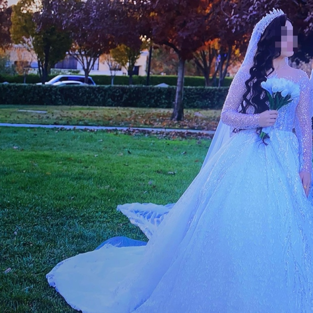 Elegant White Bridal Gown with Veil - Picture 1 of 2